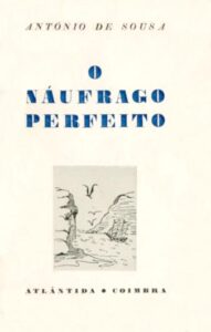 NAUFRAGO PERFEITO