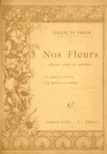 NOS FLEURS
