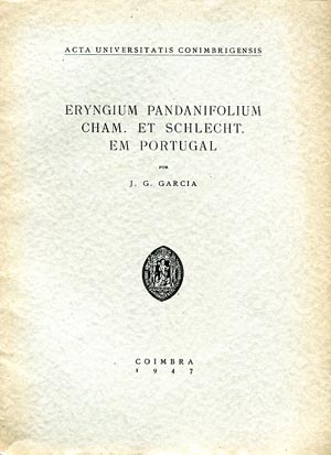 ERYNGIUM PANDANIFOLIUM CHAM. ET SCHLECHT. EM PORTUGAL