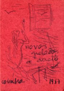 NOVOS GRELADOS DE DIREITO