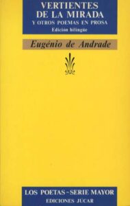 VERTIENTES DE LA MIRADA Y OTROS POEMAS EN PROSA