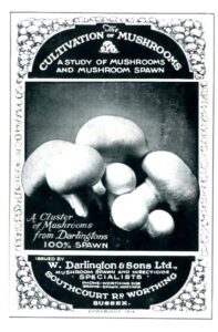 CULTIVATION OF THE MUSHROOMS
