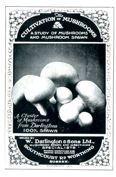 CULTIVATION OF THE MUSHROOMS