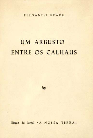 UM ARBUSTO ENTRE OS CALHAUS