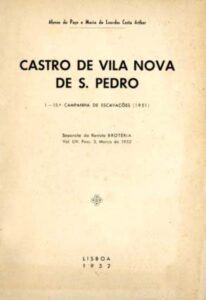 CASTRO DE VILA NOVA DE SAO PEDRO