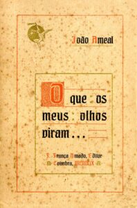 O QUE OS MEUS OLHOS VIRAM