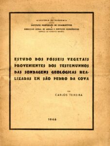 ESTUDO DOS FOSSEIS VEGETAIS PROVENIENTES DOS TESTEMUNHOS DAS SONDAGENS GEOLOGICAS REALIZADAS EM SAO PEDRO DA COVA