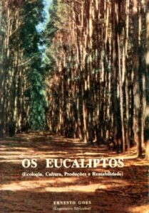 EUCALIPTOS