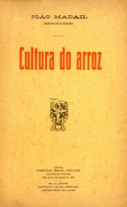CULTURA DO ARROZ
