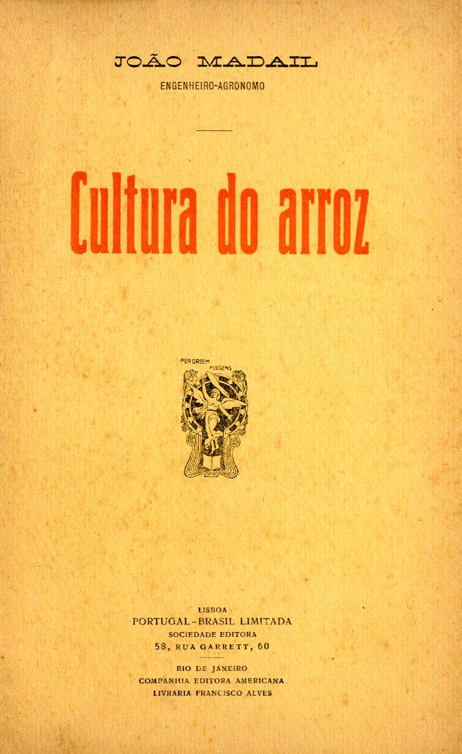 CULTURA DO ARROZ