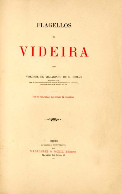 FLAGELOS DA VIDEIRA